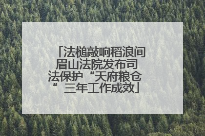法槌敲响稻浪间 眉山法院发布司法保护“天府粮仓”三年工作成效