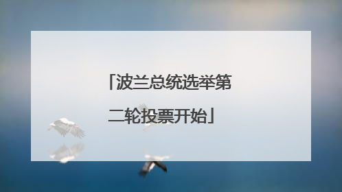 波兰总统选举第二轮投票开始