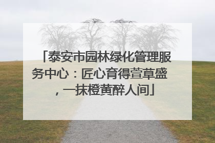泰安市园林绿化管理服务中心：匠心育得萱草盛，一抹橙黄醉人间