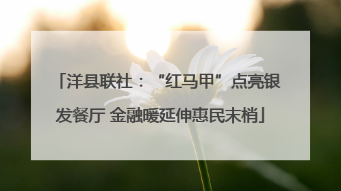 洋县联社：“红马甲”点亮银发餐厅 金融暖延伸惠民末梢