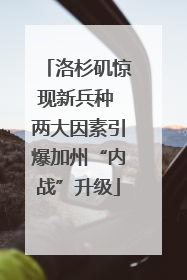 洛杉矶惊现新兵种 两大因素引爆加州“内战”升级
