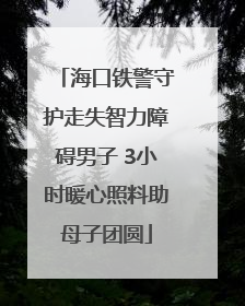 海口铁警守护走失智力障碍男子 3小时暖心照料助母子团圆