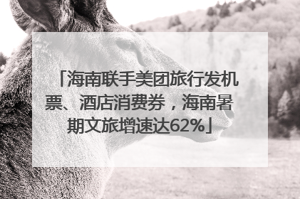 海南联手美团旅行发机票、酒店消费券，海南暑期文旅增速达62%