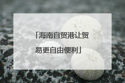 海南自贸港让贸易更自由便利