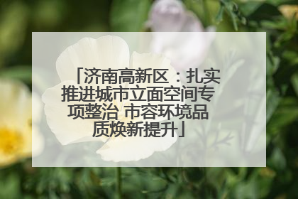 济南高新区：扎实推进城市立面空间专项整治 市容环境品质焕新提升