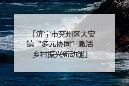 济宁市兖州区大安镇“多元协同”激活乡村振兴新动能