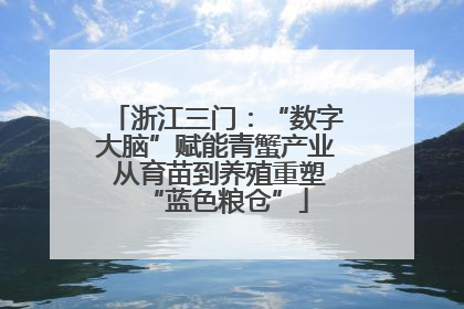 浙江三门：“数字大脑”赋能青蟹产业 从育苗到养殖重塑“蓝色粮仓”