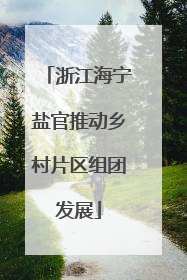浙江海宁盐官推动乡村片区组团发展