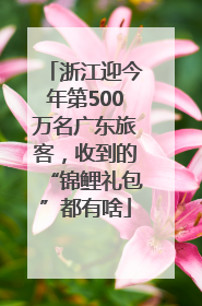 浙江迎今年第500万名广东旅客，收到的“锦鲤礼包”都有啥