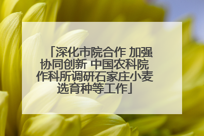 深化市院合作 加强协同创新 中国农科院作科所调研石家庄小麦选育种等工作
