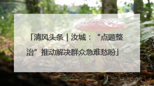 清风头条｜汝城：“点题整治”推动解决群众急难愁盼
