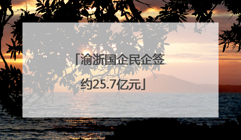 渝浙国企民企签约25.7亿元