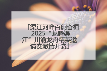 渠江河畔百舸奋楫 2025“龙腾渠江”川渝龙舟精英邀请赛激情开赛