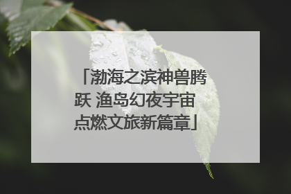 渤海之滨神兽腾跃 渔岛幻夜宇宙点燃文旅新篇章