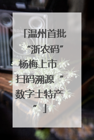 温州首批“浙农码”杨梅上市 扫码溯源“数字土特产”