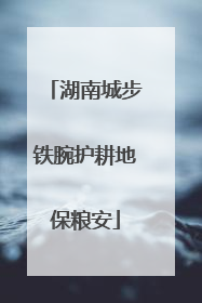 湖南城步铁腕护耕地保粮安