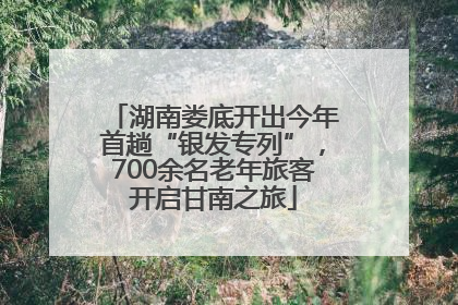 湖南娄底开出今年首趟“银发专列”，700余名老年旅客开启甘南之旅
