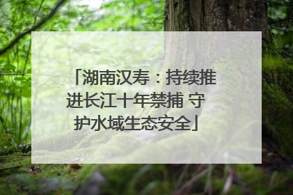湖南汉寿：持续推进长江十年禁捕 守护水域生态安全