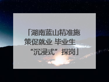 湖南蓝山精准施策促就业 毕业生“沉浸式”探岗