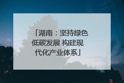 湖南：坚持绿色低碳发展 构建现代化产业体系