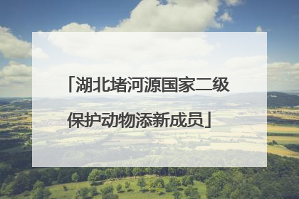 湖北堵河源国家二级保护动物添新成员