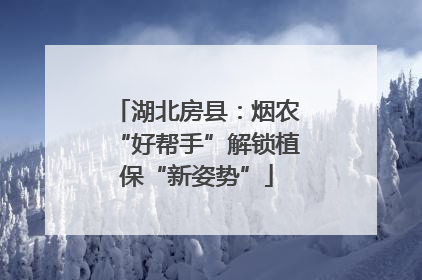 湖北房县：烟农“好帮手”解锁植保“新姿势”