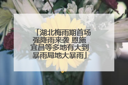 湖北梅雨期首场强降雨来袭 恩施宜昌等多地有大到暴雨局地大暴雨