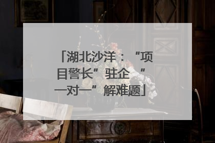 湖北沙洋：“项目警长”驻企 “一对一”解难题