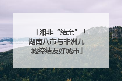 湘非“结亲”！湖南八市与非洲九城缔结友好城市