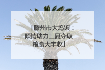 滕州市大坞镇：倾情助力三夏夺取粮食大丰收