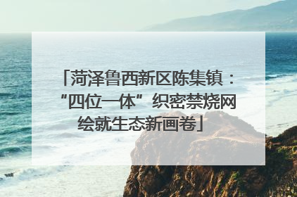 菏泽鲁西新区陈集镇：“四位一体”织密禁烧网 绘就生态新画卷