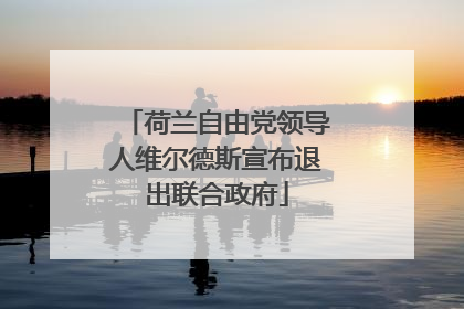 荷兰自由党领导人维尔德斯宣布退出联合政府