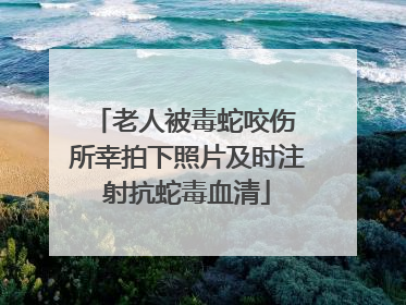老人被毒蛇咬伤 所幸拍下照片及时注射抗蛇毒血清