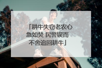 耕牛失窃老农心急如焚 民警锲而不舍追回耕牛