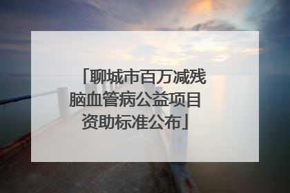 聊城市百万减残脑血管病公益项目资助标准公布
