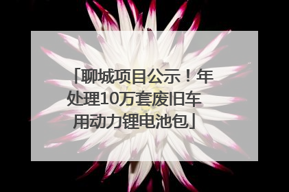 聊城项目公示！年处理10万套废旧车用动力锂电池包
