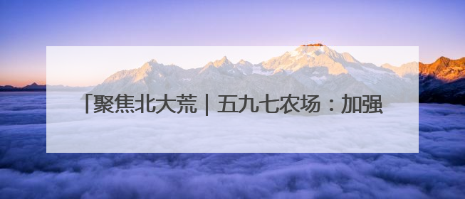 聚焦北大荒｜五九七农场：加强湿地保护 发展向“绿”而行