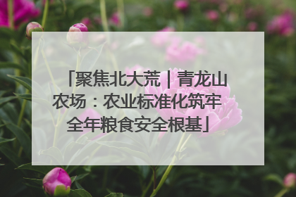 聚焦北大荒｜青龙山农场：农业标准化筑牢全年粮食安全根基