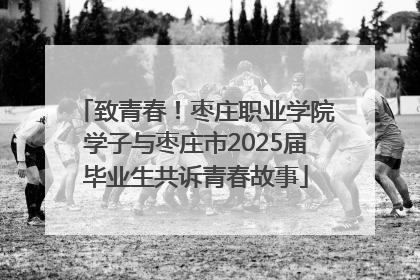 致青春！枣庄职业学院学子与枣庄市2025届毕业生共诉青春故事