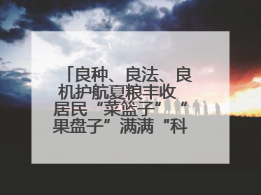 良种、良法、良机护航夏粮丰收 居民“菜篮子”“果盘子”满满“科技范儿”