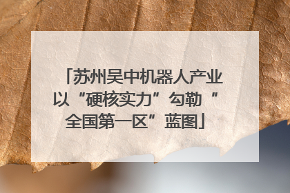 苏州吴中机器人产业以“硬核实力”勾勒“全国第一区”蓝图