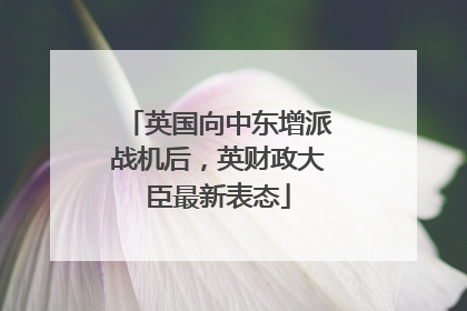 英国向中东增派战机后，英财政大臣最新表态