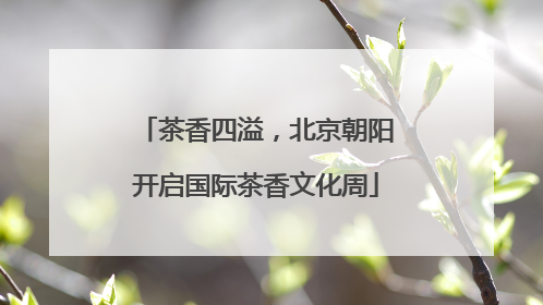 茶香四溢，北京朝阳开启国际茶香文化周