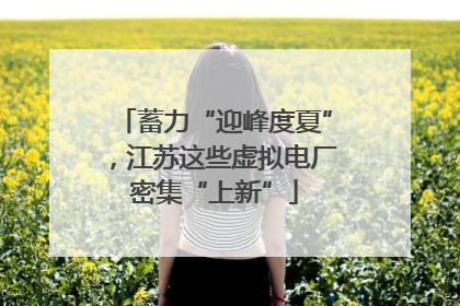 蓄力“迎峰度夏”，江苏这些虚拟电厂密集“上新”