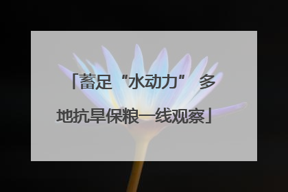 蓄足“水动力” 多地抗旱保粮一线观察