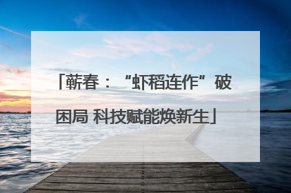 蕲春：“虾稻连作”破困局 科技赋能焕新生