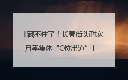 藏不住了！长春街头耐寒月季集体“C位出道”