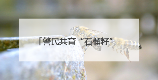 警民共育“石榴籽” 辖区绽放“团结花”