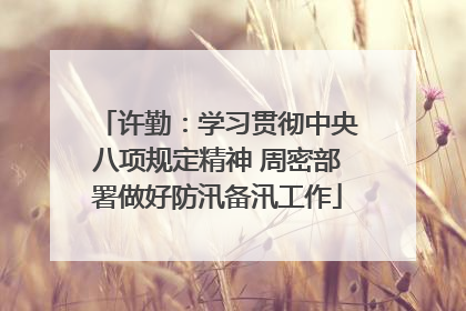 许勤：学习贯彻中央八项规定精神 周密部署做好防汛备汛工作