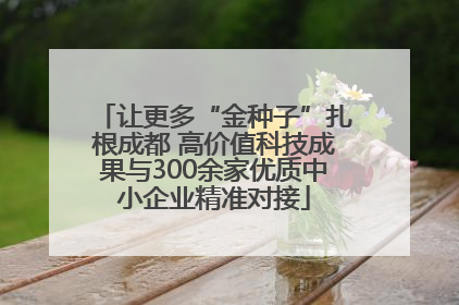 让更多“金种子”扎根成都 高价值科技成果与300余家优质中小企业精准对接